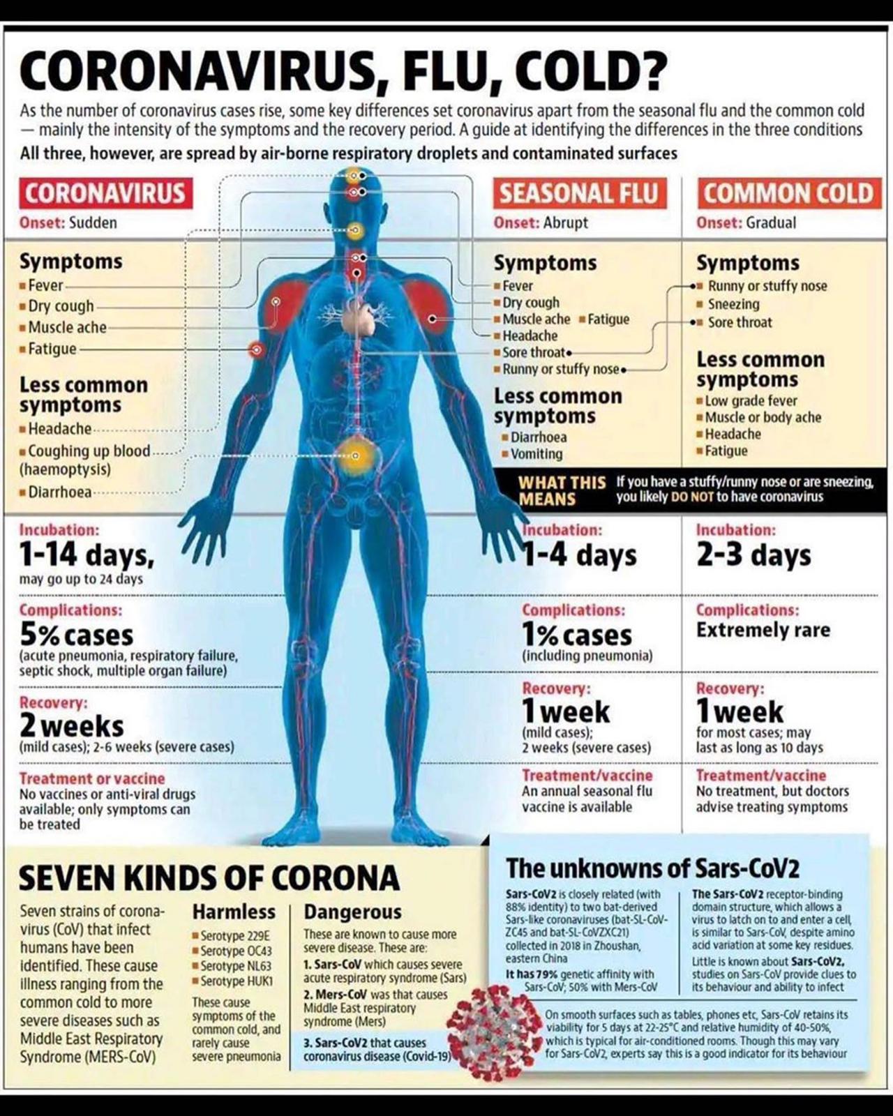 infographic about covid 19